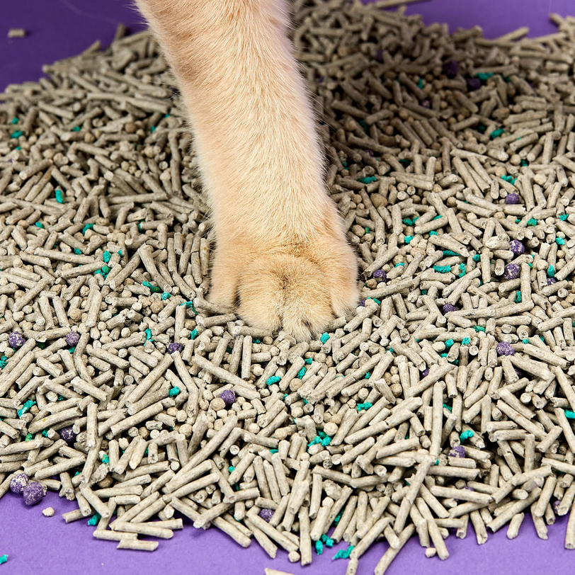 Pets
